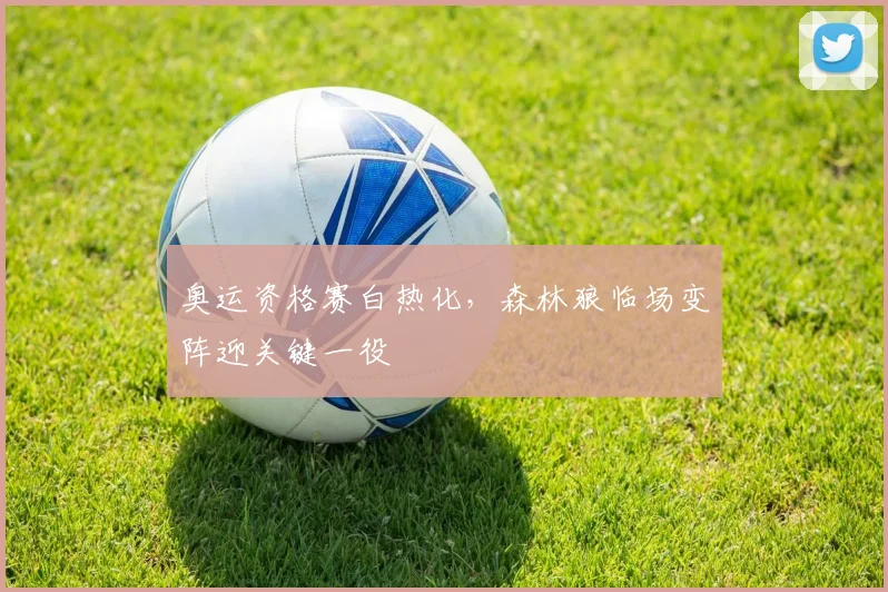 奥运资格赛白热化，森林狼临场变阵迎关键一役 - 爱游戏推荐