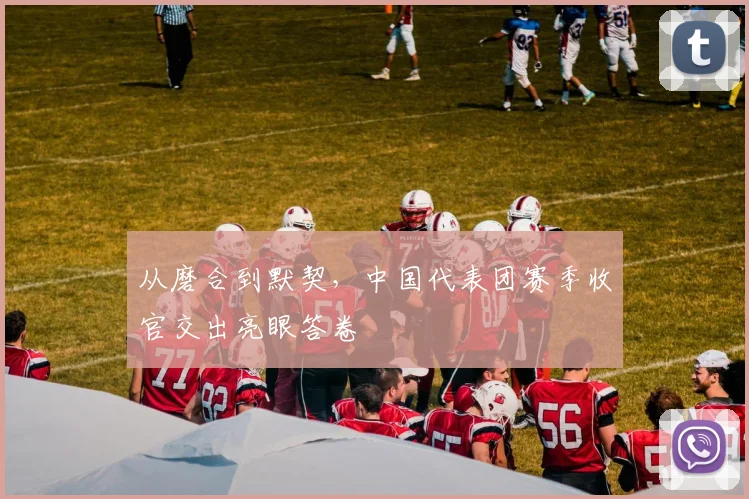 从磨合到默契，中国代表团赛季收官交出亮眼答卷 - 爱游戏推荐